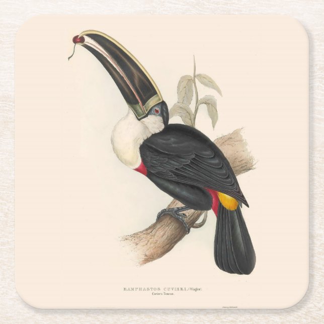 Dessous-de-verre Carré En Papier Peinture animalière d'antiquités Toucans (Devant)