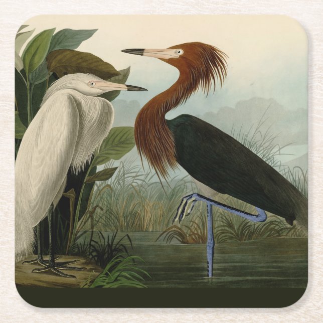 Dessous-de-verre Carré En Papier Peinture de la faune d'Audubon Heron violet (Devant)