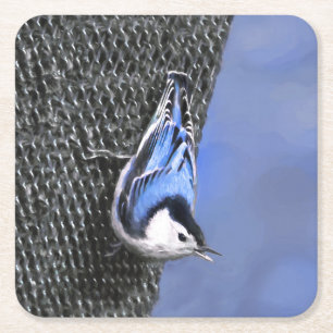Dessous-de-verre Carré En Papier Peinture Nuthatch à poitrine blanche Art original
