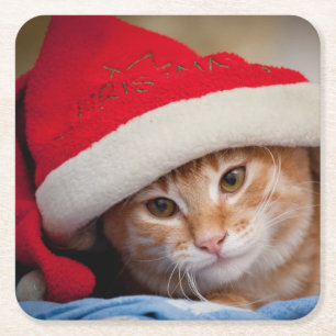 Dessous-de-verre Carré En Papier Petit chaton dans le casquette rouge de Noël