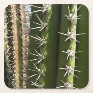 Dessous-de-verre Carré En Papier Photo de la nature du désert Cactus baril II