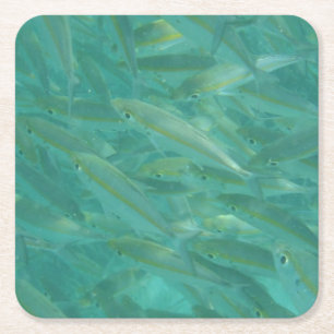 Dessous-de-verre Carré En Papier Photos de poissons sous-marins