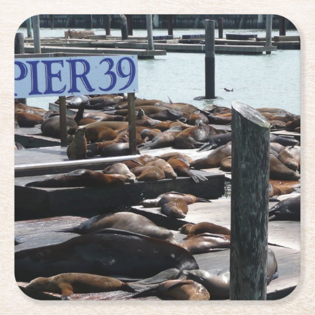 Dessous-de-verre Carré En Papier Pier 39 Sea Lions (Devant)