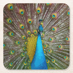 Dessous-de-verre Carré En Papier Pierrafeu avec Plumage Royal sur écran