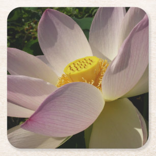 Dessous-de-verre Carré En Papier Pink Lotus Flower III Summer Floral