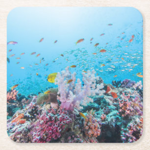Dessous-de-verre Carré En Papier Plongée à l'air avec le récif et le corail colo