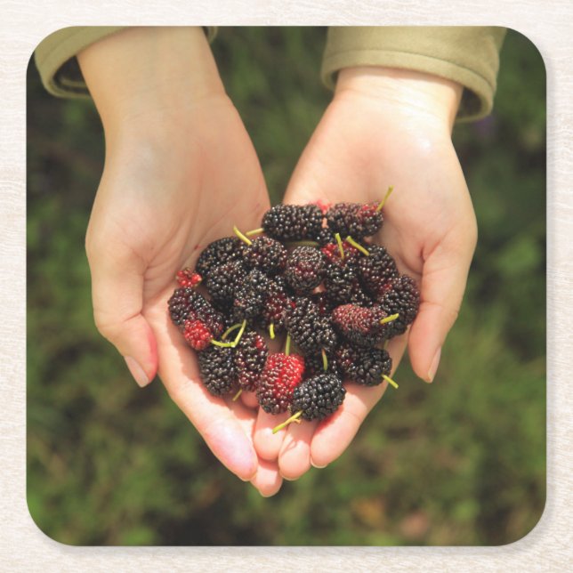 Dessous-de-verre Carré En Papier Poignée de baies de mûre fraîches et douces (Devant)