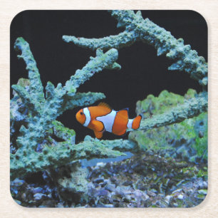 Dessous-de-verre Carré En Papier Poissons de clown dans le corail