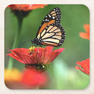 Dessous-de-verre Carré En Papier Pollinisation des papillons monarques