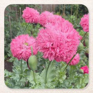 Dessous-de-verre Carré En Papier Poppies Pom Pom Rose