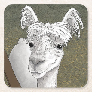 Dessous-de-verre Carré En Papier Portrait d'Alpaca 2