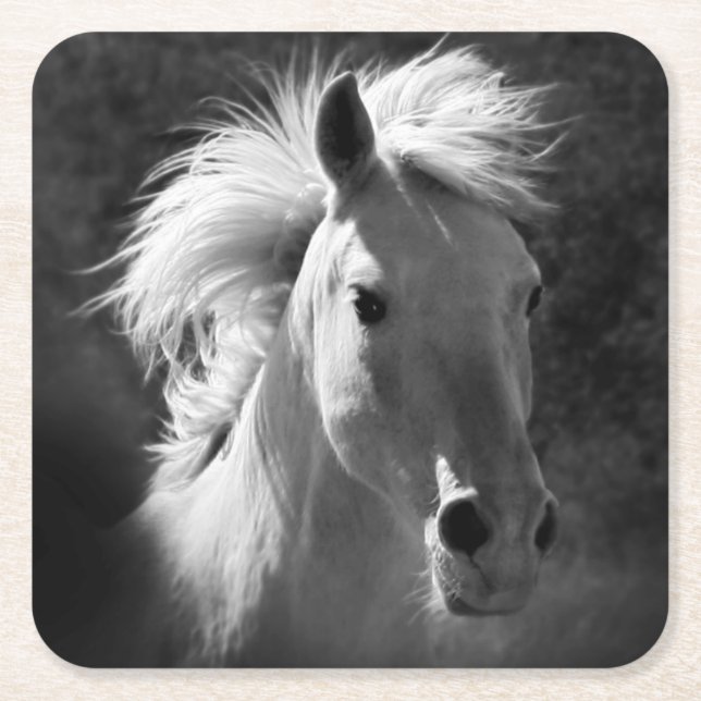 Dessous-de-verre Carré En Papier Portrait de cheval V (Devant)