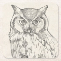 Portrait de hibou - croquis