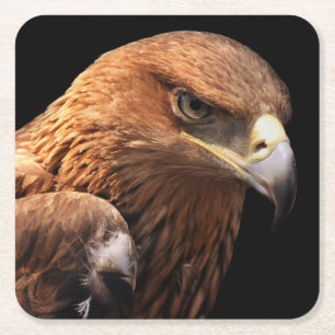 Dessous-de-verre Carré En Papier Portrait d'Eagle d'isolement sur le noir