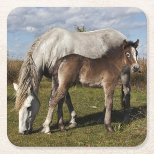 Dessous-de-verre Carré En Papier Poulain du cheval de Camargue avec sa mère