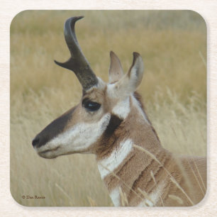 Dessous-de-verre Carré En Papier Profil de tête de mâle d'antilope pronghorn A4