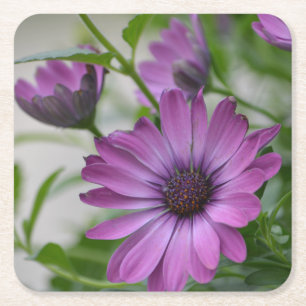 Dessous-de-verre Carré En Papier Purple Daisy Party