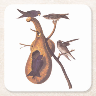 Dessous-de-verre Carré En Papier Purple Martin Audubon Bird Famille et Gourd Accuei