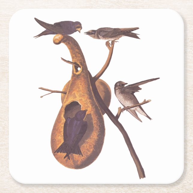 Dessous-de-verre Carré En Papier Purple Martin Audubon Bird Famille et Gourd Accuei (Devant)
