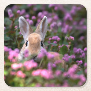 Dessous-de-verre Carré En Papier Rabbit farm