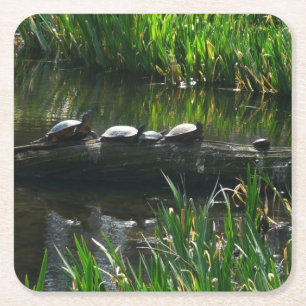 Dessous-de-verre Carré En Papier Rangée de tortues photo de la nature verte