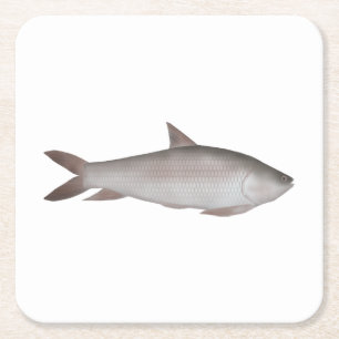 Dessous-de-verre Carré En Papier Reba Carp