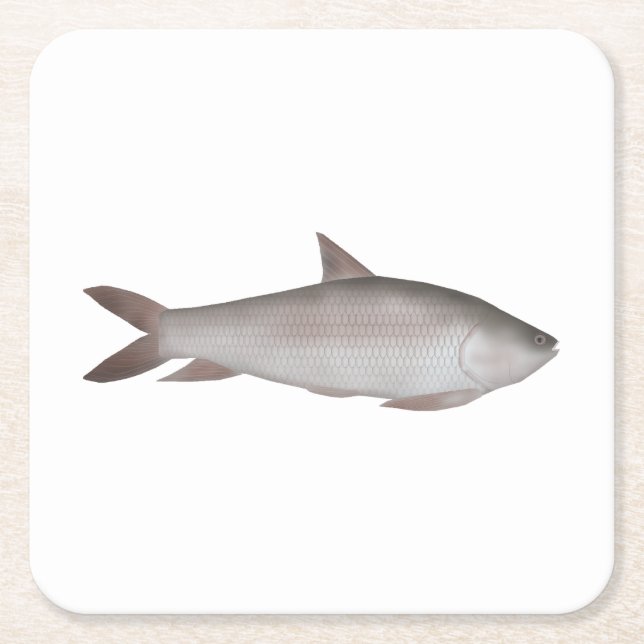 Dessous-de-verre Carré En Papier Reba Carp (Devant)