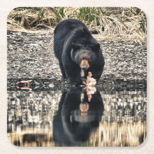 Dessous-de-verre Carré En Papier Réflexions de l'ours noir