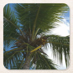 Dessous-de-verre Carré En Papier Regard sur le palmier à coco Nature tropicale
