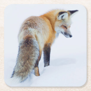 Dessous-de-verre Carré En Papier Renard roux en hiver