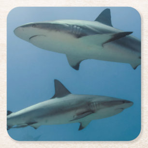 Dessous-de-verre Carré En Papier Requin des récifs des Caraïbes