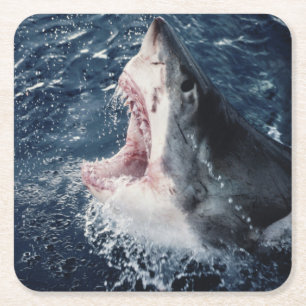 Dessous-de-verre Carré En Papier Requin élevé bouche ouverte