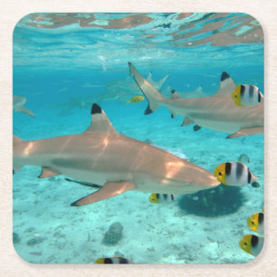 Dessous-de-verre Carré En Papier Requins dans les dessous de verre de lagune de