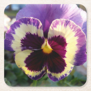 Dessous-de-verre Carré En Papier ressort coloré Pansy