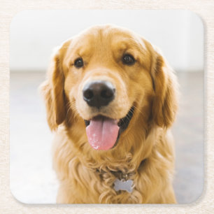 Dessous-de-verre Carré En Papier Retriever d'or souriant