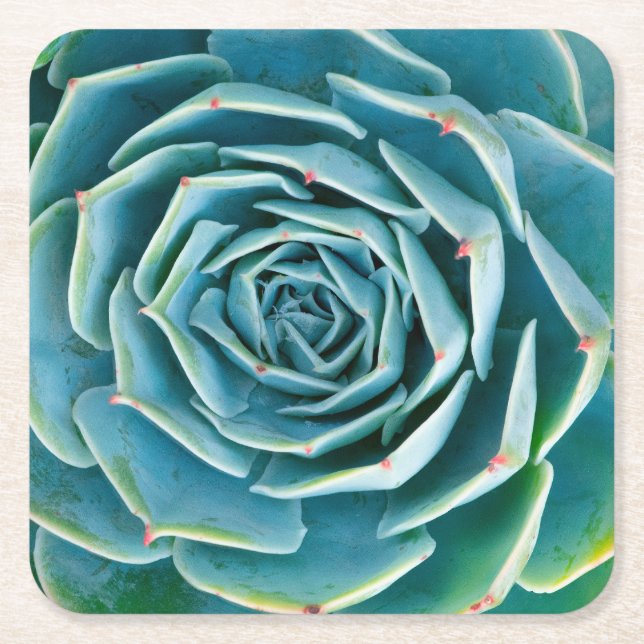 Dessous-de-verre Carré En Papier Rosette d'Echeveria, Jardin Secret de Marrakech (Devant)