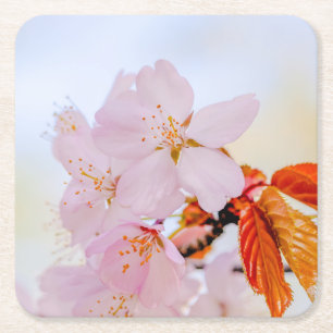 Dessous-de-verre Carré En Papier Sakura - Fleur de cerisier japonaise