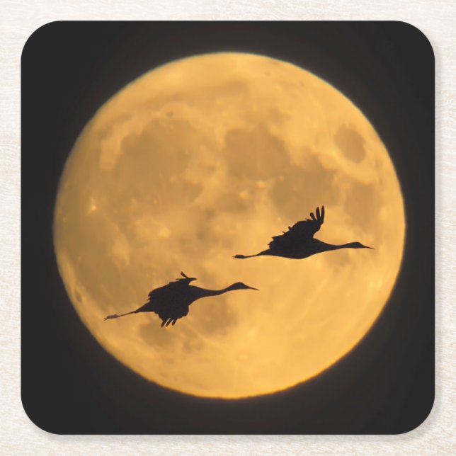 Dessous-de-verre Carré En Papier Sandhill Cranes | National Wildlife Reserve (Devant)