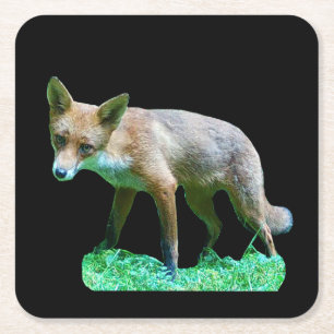Dessous-de-verre Carré En Papier Scène forestière mignonne de faune sylvestre avec