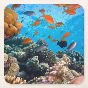 Dessous-de-verre Carré En Papier Scène sous-marine de poissons tropicaux