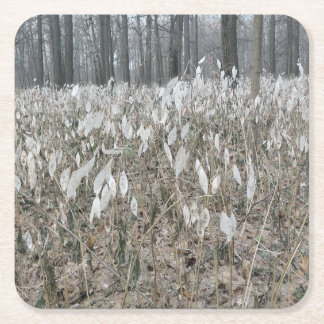 Dessous-de-verre Carré En Papier Silence de la forêt tranquille