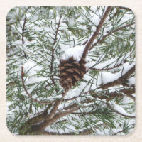 Snowy Pine Cône II hiver Photographie de la nature