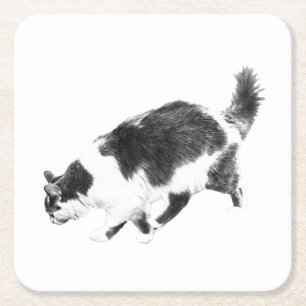 Dessous-de-verre Carré En Papier Sondage de chats dans les ombres d'automne