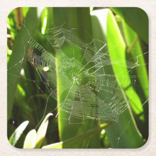 Dessous-de-verre Carré En Papier Spiderweb dans Tropical Leaves Nature