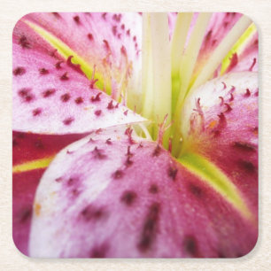 Dessous-de-verre Carré En Papier Stargazer Lily brillant Magenta Floral