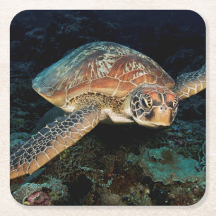 Dessous-de-verre Carré En Papier Sulawesi Tortue Marine Verte