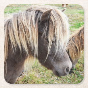 Dessous-de-verre Carré En Papier Tan Coloré Shetland Pony,