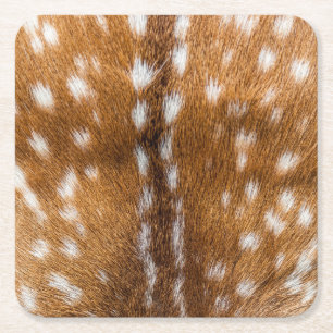 Dessous-de-verre Carré En Papier Texture repérée de fourrure de cerfs communs