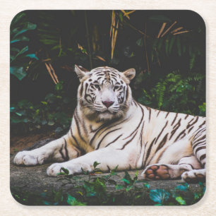 Dessous-de-verre Carré En Papier Tigre