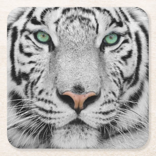 Dessous-de-verre Carré En Papier Tigre blanc